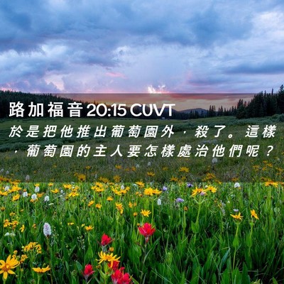 Picture 02 - 路 加 福 音 20:15 CUVT - 於 是 把 他 推 出 葡 萄 園 外 ， 殺 - Bible Verse Picture