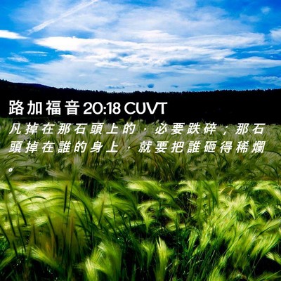 Picture 02 - 路 加 福 音 20:18 CUVT - 凡 掉 在 那 石 頭 上 的 ， 必 要 跌 - Bible Verse Picture