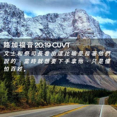 Picture 02 - 路 加 福 音 20:19 CUVT - 文 士 和 祭 司 長 看 出 這 比 喻 是 - Bible Verse Picture