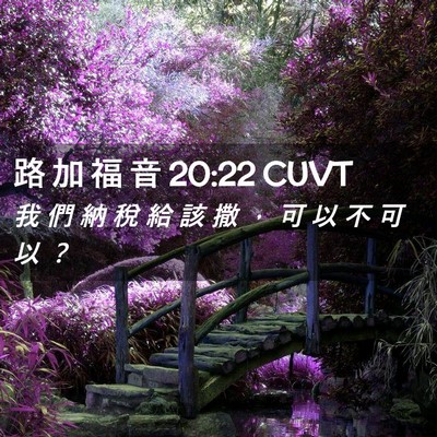 Picture 02 - 路 加 福 音 20:22 CUVT - 我 們 納 稅 給 該 撒 ， 可 以 不 可 - Bible Verse Picture