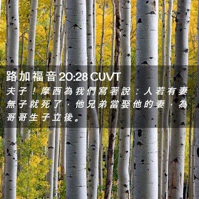 Picture 02 - 路 加 福 音 20:28 CUVT - 夫 子 ！ 摩 西 為 我 們 寫 著 說 ： - Bible Verse Picture