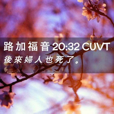 Picture 02 - 路 加 福 音 20:32 CUVT - 後 來 婦 人 也 死 了 - Bible Verse Picture