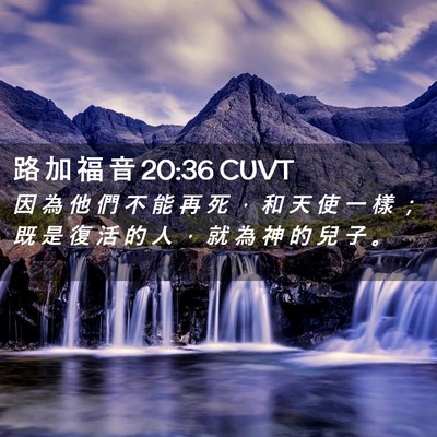 Picture 02 - 路 加 福 音 20:36 CUVT - 因 為 他 們 不 能 再 死 ， 和 天 使 - Bible Verse Picture