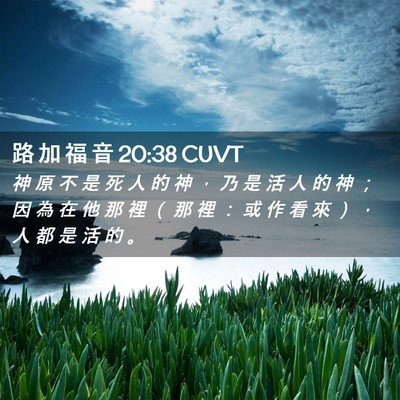 Picture 02 - 路 加 福 音 20:38 CUVT - 神 原 不 是 死 人 的 神 ， 乃 是 活 - Bible Verse Picture