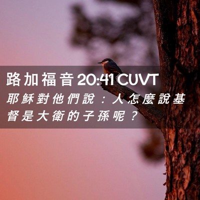 Picture 02 - 路 加 福 音 20:41 CUVT - 耶 穌 對 他 們 說 ： 人 怎 麼 說 基 - Bible Verse Picture
