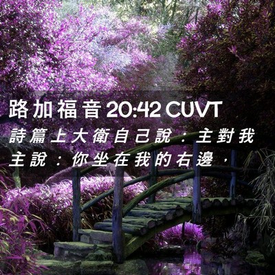 Picture 02 - 路 加 福 音 20:42 CUVT - 詩 篇 上 大 衛 自 己 說 ： 主 對 我 - Bible Verse Picture