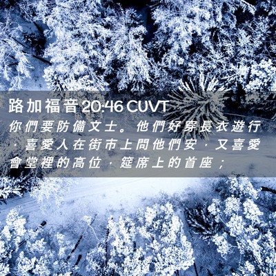 Picture 02 - 路 加 福 音 20:46 CUVT - 你 們 要 防 備 文 士 。 他 們 好 穿 - Bible Verse Picture