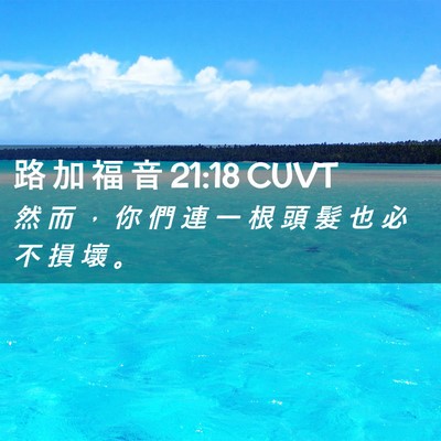 Picture 02 - 路 加 福 音 21:18 CUVT - 然 而 ， 你 們 連 一 根 頭 髮 也 必 - Bible Verse Picture