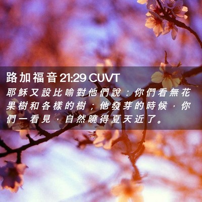 Picture 02 - 路 加 福 音 21:29 CUVT - 耶 穌 又 設 比 喻 對 他 們 說 ： 你 - Bible Verse Picture
