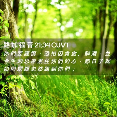 Picture 02 - 路 加 福 音 21:34 CUVT - 你 們 要 謹 慎 ， 恐 怕 因 貪 食 、 - Bible Verse Picture