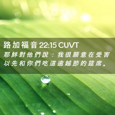 Picture 02 - 路 加 福 音 22:15 CUVT - 耶 穌 對 他 們 說 ： 我 很 願 意 在 - Bible Verse Picture