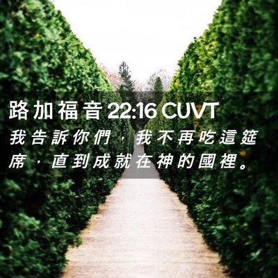 Picture 02 - 路 加 福 音 22:16 CUVT - 我 告 訴 你 們 ， 我 不 再 吃 這 筵 - Bible Verse Picture