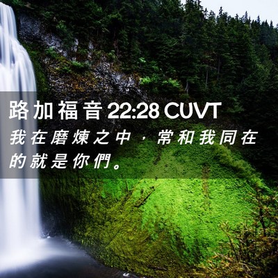 Picture 02 - 路 加 福 音 22:28 CUVT - 我 在 磨 煉 之 中 ， 常 和 我 同 在 - Bible Verse Picture