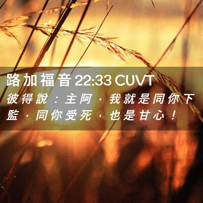Picture 02 - 路 加 福 音 22:33 CUVT - 彼 得 說 ： 主 阿 ， 我 就 是 同 你 - Bible Verse Picture