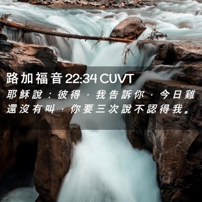 Picture 02 - 路 加 福 音 22:34 CUVT - 耶 穌 說 ： 彼 得 ， 我 告 訴 你 ， - Bible Verse Picture