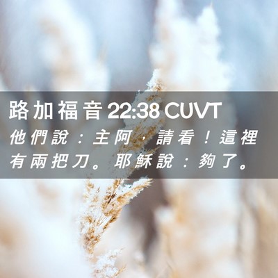 Picture 02 - 路 加 福 音 22:38 CUVT - 他 們 說 ： 主 阿 ， 請 看 ！ 這 裡 - Bible Verse Picture