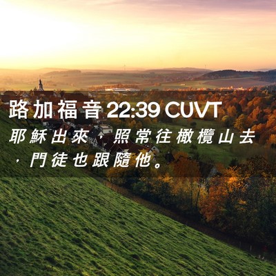 Picture 02 - 路 加 福 音 22:39 CUVT - 耶 穌 出 來 ， 照 常 往 橄 欖 山 去 - Bible Verse Picture
