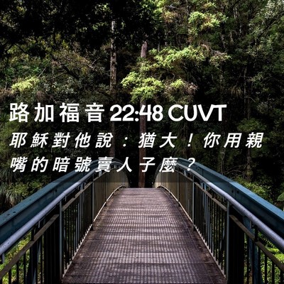 Picture 02 - 路 加 福 音 22:48 CUVT - 耶 穌 對 他 說 ： 猶 大 ！ 你 用 親 - Bible Verse Picture