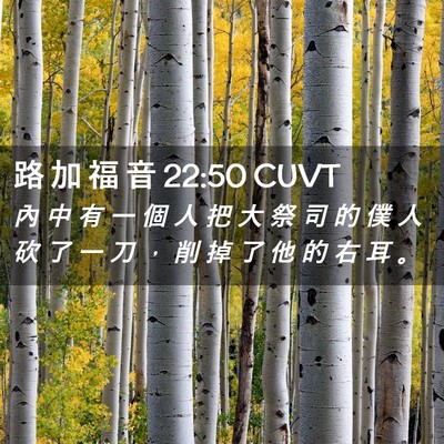 Picture 02 - 路 加 福 音 22:50 CUVT - 內 中 有 一 個 人 把 大 祭 司 的 僕 - Bible Verse Picture