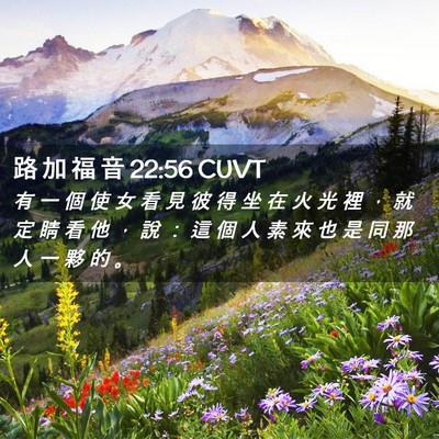 Picture 02 - 路 加 福 音 22:56 CUVT - 有 一 個 使 女 看 見 彼 得 坐 在 火 - Bible Verse Picture