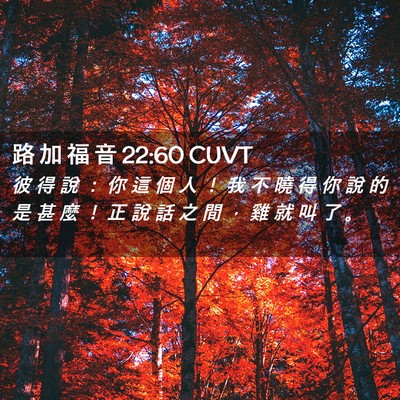 Picture 02 - 路 加 福 音 22:60 CUVT - 彼 得 說 ： 你 這 個 人 ！ 我 不 曉 - Bible Verse Picture