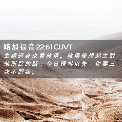 Picture 02 - 路 加 福 音 22:61 CUVT - 主 轉 過 身 來 看 彼 得 。 彼 得 便 - Bible Verse Picture