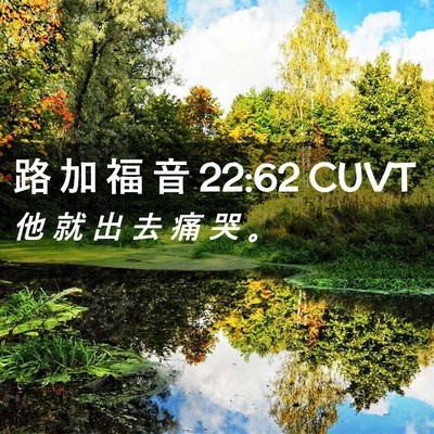 Picture 02 - 路 加 福 音 22:62 CUVT - 他 就 出 去 痛 哭 - Bible Verse Picture