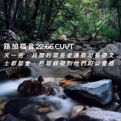 Picture 02 - 路 加 福 音 22:66 CUVT - 天 一 亮 ， 民 間 的 眾 長 老 連 祭 - Bible Verse Picture