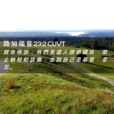 Picture 02 - 路 加 福 音 23:2 CUVT - 就 告 他 說 ： 我 們 見 這 人 誘 惑 - Bible Verse Picture