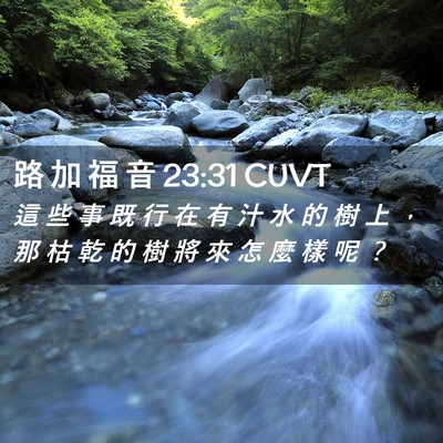 Picture 02 - 路 加 福 音 23:31 CUVT - 這 些 事 既 行 在 有 汁 水 的 樹 上 - Bible Verse Picture