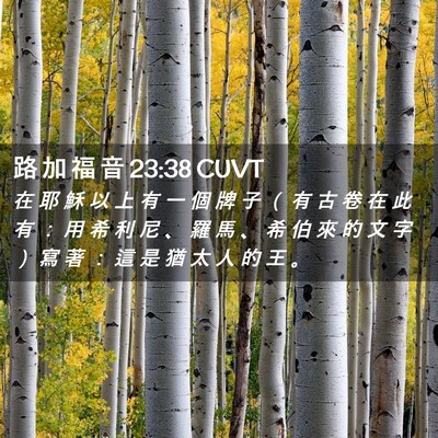 Picture 02 - 路 加 福 音 23:38 CUVT - 在 耶 穌 以 上 有 一 個 牌 子 （ 有 - Bible Verse Picture