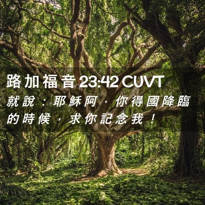 Picture 02 - 路 加 福 音 23:42 CUVT - 就 說 ： 耶 穌 阿 ， 你 得 國 降 臨 - Bible Verse Picture