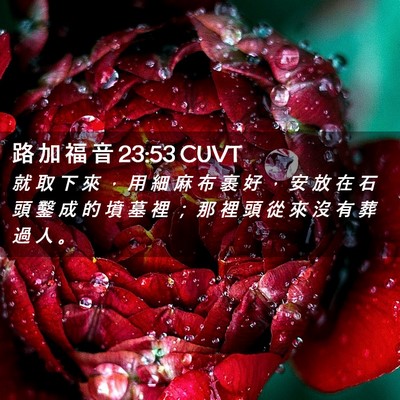 Picture 02 - 路 加 福 音 23:53 CUVT - 就 取 下 來 ， 用 細 麻 布 裹 好 ， - Bible Verse Picture