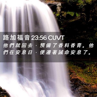 Picture 02 - 路 加 福 音 23:56 CUVT - 他 們 就 回 去 ， 預 備 了 香 料 香 - Bible Verse Picture