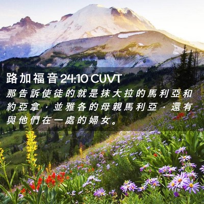 Picture 02 - 路 加 福 音 24:10 CUVT - 那 告 訴 使 徒 的 就 是 抹 大 拉 的 - Bible Verse Picture