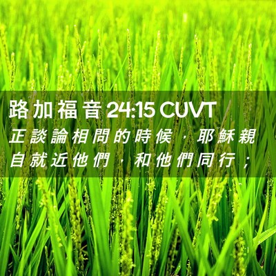 Picture 02 - 路 加 福 音 24:15 CUVT - 正 談 論 相 問 的 時 候 ， 耶 穌 親 - Bible Verse Picture