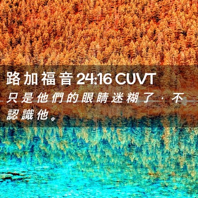 Picture 02 - 路 加 福 音 24:16 CUVT - 只 是 他 們 的 眼 睛 迷 糊 了 ， 不 - Bible Verse Picture