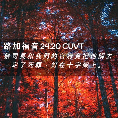 Picture 02 - 路 加 福 音 24:20 CUVT - 祭 司 長 和 我 們 的 官 府 竟 把 他 - Bible Verse Picture