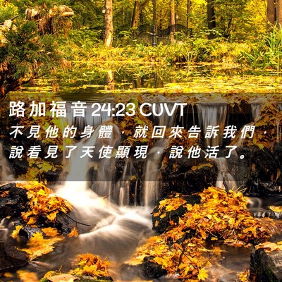 Picture 02 - 路 加 福 音 24:23 CUVT - 不 見 他 的 身 體 ， 就 回 來 告 訴 - Bible Verse Picture