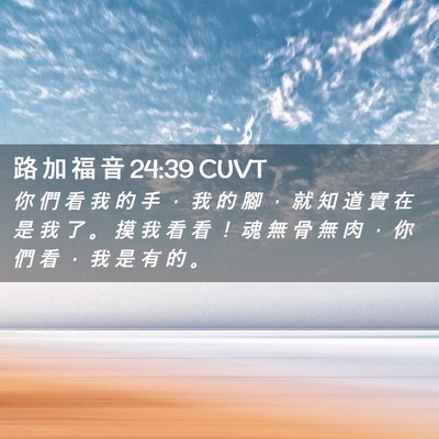 Picture 02 - 路 加 福 音 24:39 CUVT - 你 們 看 我 的 手 ， 我 的 腳 ， 就 - Bible Verse Picture