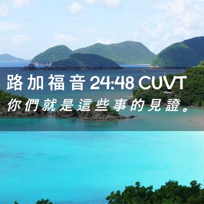 Picture 02 - 路 加 福 音 24:48 CUVT - 你 們 就 是 這 些 事 的 見 證 - Bible Verse Picture