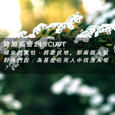 Picture 02 - 路 加 福 音 24:5 CUVT - 婦 女 們 驚 怕 ， 將 臉 伏 地 。 那 - Bible Verse Picture