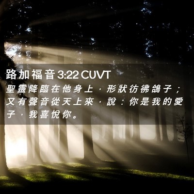 Picture 02 - 路 加 福 音 3:22 CUVT - 聖 靈 降 臨 在 他 身 上 ， 形 狀 彷 - Bible Verse Picture