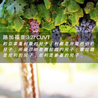Picture 02 - 路 加 福 音 3:27 CUVT - 約 亞 拿 是 利 撒 的 兒 子 ； 利 撒 - Bible Verse Picture