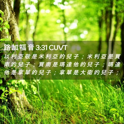 Picture 02 - 路 加 福 音 3:31 CUVT - 以 利 亞 敬 是 米 利 亞 的 兒 子 ； - Bible Verse Picture