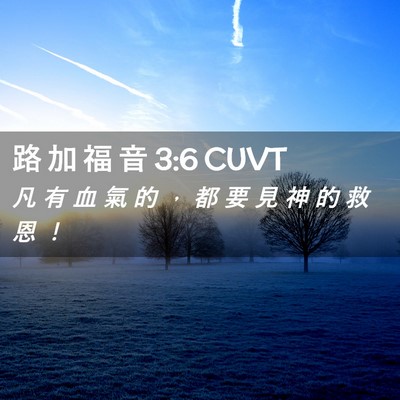 Picture 02 - 路 加 福 音 3:6 CUVT - 凡 有 血 氣 的 ， 都 要 見 神 的 救 - Bible Verse Picture