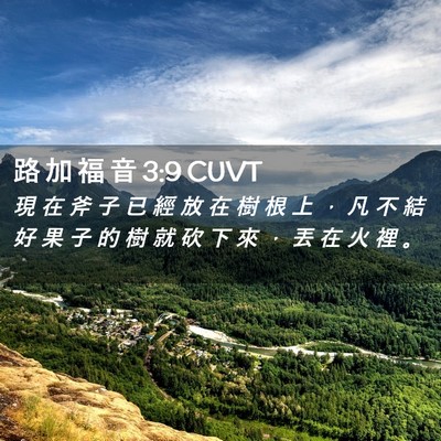 Picture 02 - 路 加 福 音 3:9 CUVT - 現 在 斧 子 已 經 放 在 樹 根 上 ， - Bible Verse Picture