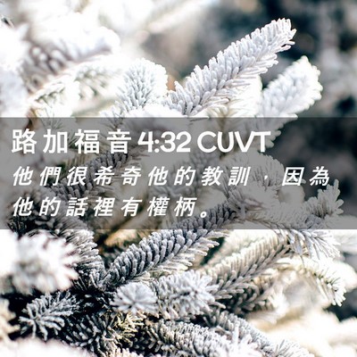 Picture 02 - 路 加 福 音 4:32 CUVT - 他 們 很 希 奇 他 的 教 訓 ， 因 為 - Bible Verse Picture