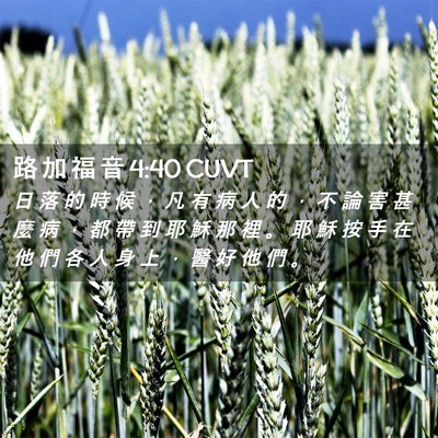 Picture 02 - 路 加 福 音 4:40 CUVT - 日 落 的 時 候 ， 凡 有 病 人 的 ， - Bible Verse Picture