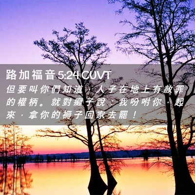 Picture 02 - 路 加 福 音 5:24 CUVT - 但 要 叫 你 們 知 道 ， 人 子 在 地 - Bible Verse Picture